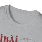 BàiBài, Gotta Soccer